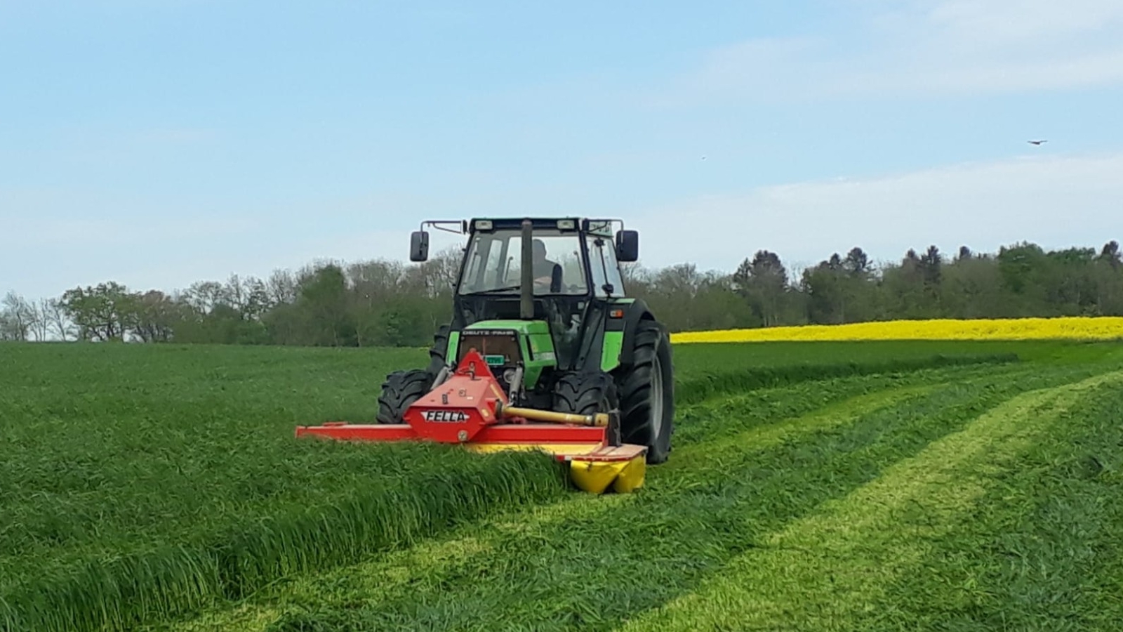 Messerli am Mähen