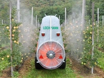 Lochmann2