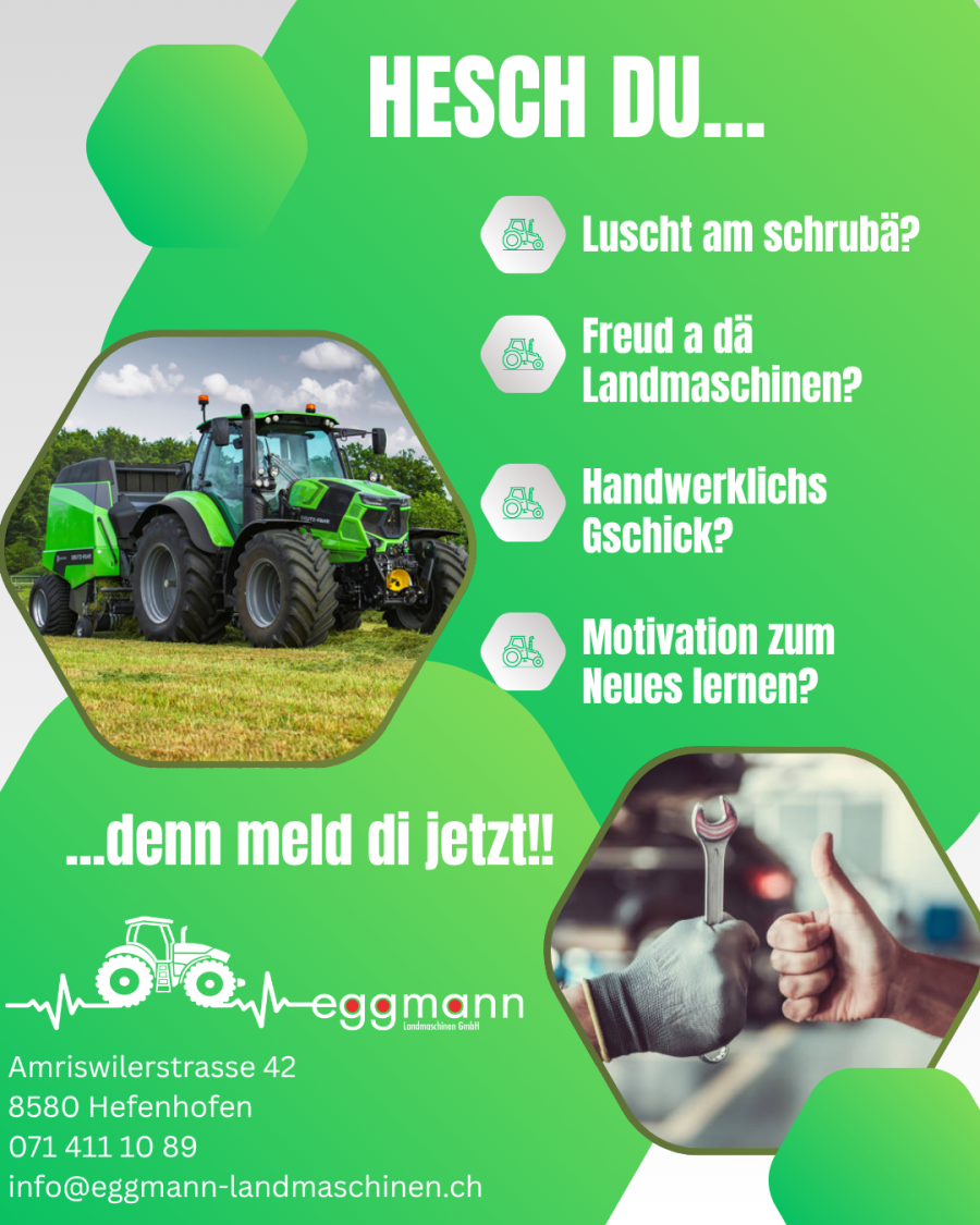 Mir suechet Dich! 